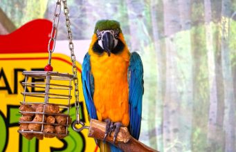 How to Enjoy a Culinary Tour of Western Europe How to Enjoy a Culinary Tour of Western Europe