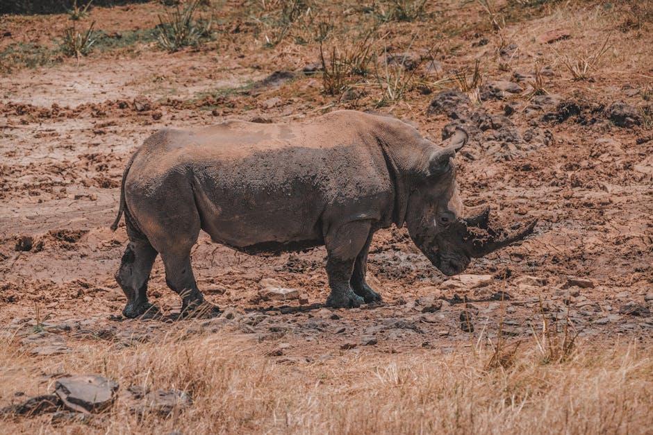 Discovering the​ Rich Biodiversity​ of Kruger⁣ National‌ Park