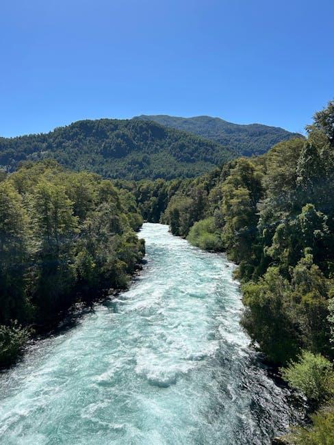 Andean Altitudes Flora and Fauna‍ Thriving in Thin ⁢Air
