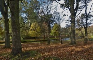 Should Tourists Boycott Controversial European Festivals Should Tourists Boycott Controversial European Festivals