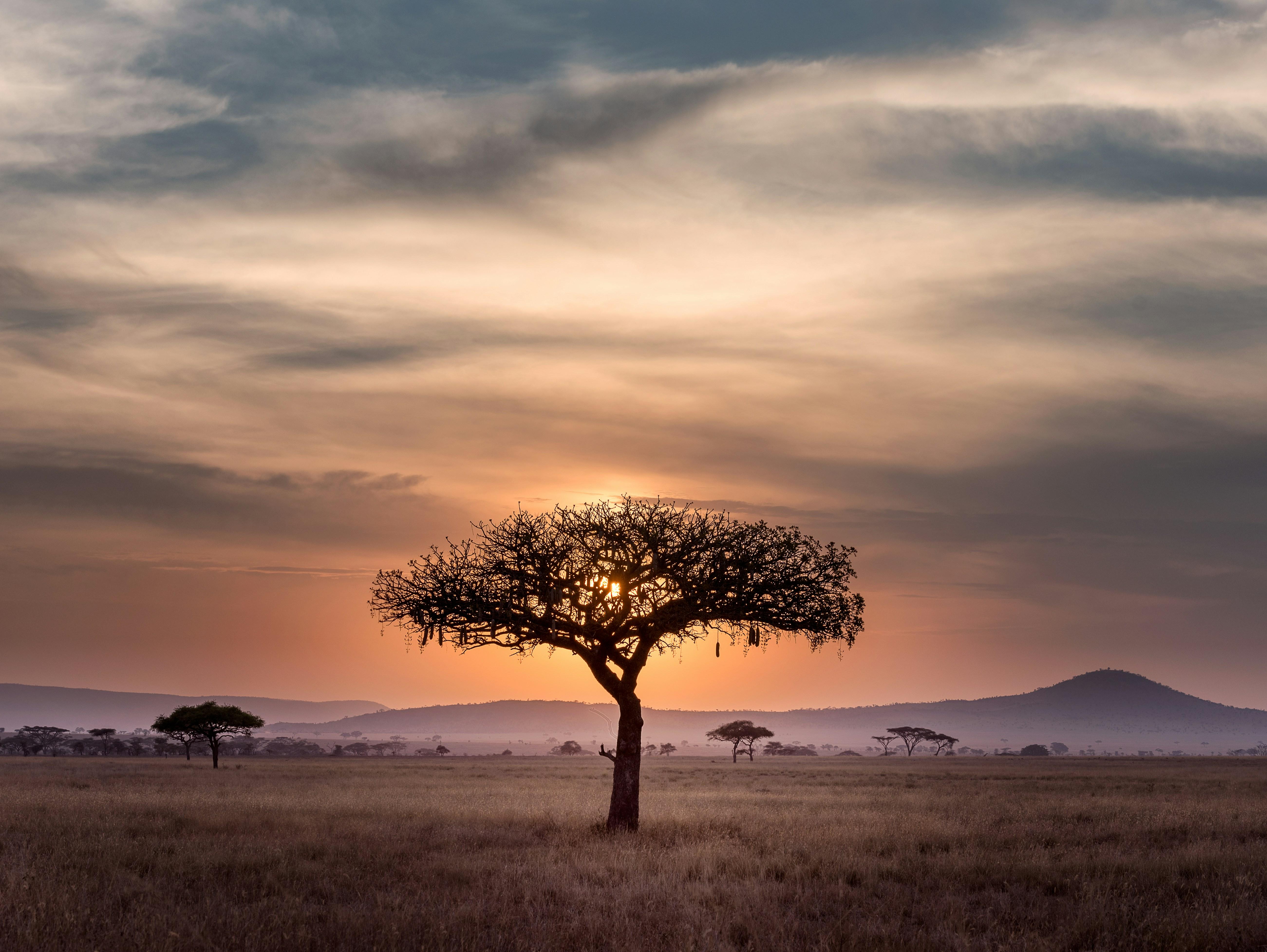 Tanzanias Tranquil Astronomy Havens