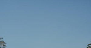 Should Tourists Be Fined for Ignoring Cultural Etiquette Should Tourists Be Fined for Ignoring Cultural Etiquette