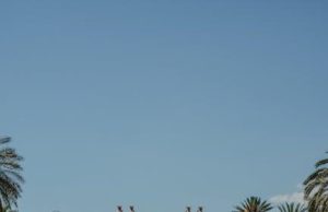 Should Tourists Be Fined for Ignoring Cultural Etiquette Should Tourists Be Fined for Ignoring Cultural Etiquette