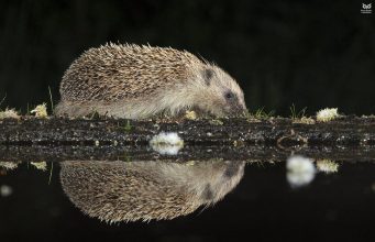 A guide to Western Europe’s famous bridges A guide to Western Europe’s famous bridges