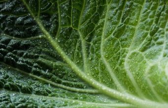 Eco-friendly lodges in African national parks Eco-friendly lodges in African national parks