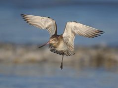 Top wildlife reserves to visit in North America Top wildlife reserves to visit in North America