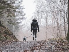 Best Coastal Hikes Along the Western European Coastline Best Coastal Hikes Along the Western European Coastline