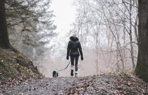 Best Coastal Hikes Along the Western European Coastline Best Coastal Hikes Along the Western European Coastline