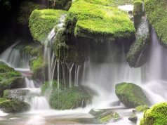 Discovering America’s Top Hidden Waterfalls Discovering America’s Top Hidden Waterfalls