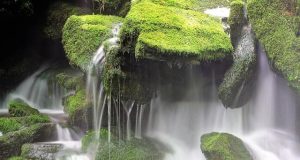 Discovering America’s Top Hidden Waterfalls