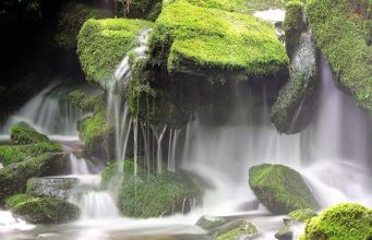 Discovering America’s Top Hidden Waterfalls Discovering America’s Top Hidden Waterfalls