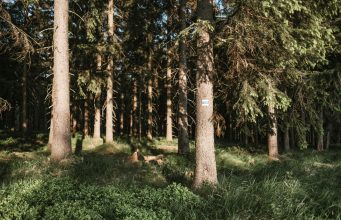 Exploring the Best Hiking Trails in the Alps Exploring the Best Hiking Trails in the Alps