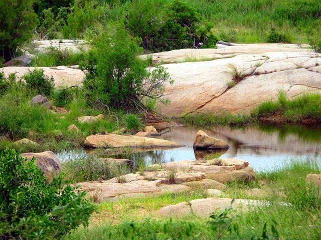 Captivating Wildlife Journeys Kruger to Kgalagadi