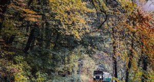 Scenic train routes in Canada’s Rockies Scenic train routes in Canada’s Rockies