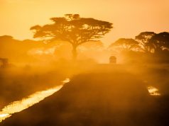 Packing essentials for an African safari Packing essentials for an African safari