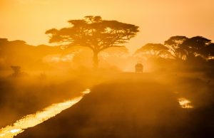 Packing essentials for an African safari Packing essentials for an African safari