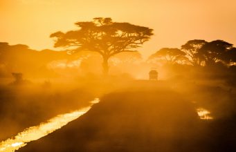 Packing essentials for an African safari Packing essentials for an African safari