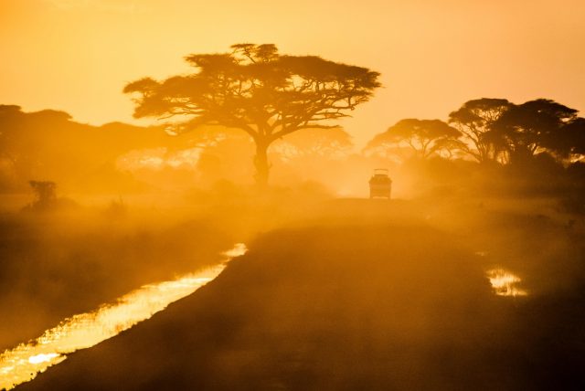 Packing essentials for an African safari