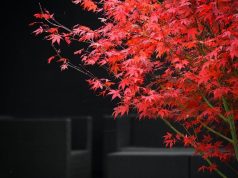 How to plan a luxury trip across Western Europe How to plan a luxury trip across Western Europe