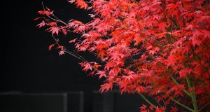 How to plan a luxury trip across Western Europe How to plan a luxury trip across Western Europe