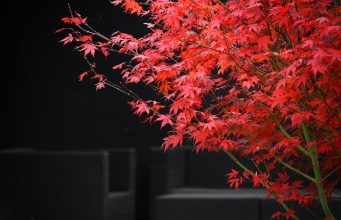 How to plan a luxury trip across Western Europe How to plan a luxury trip across Western Europe