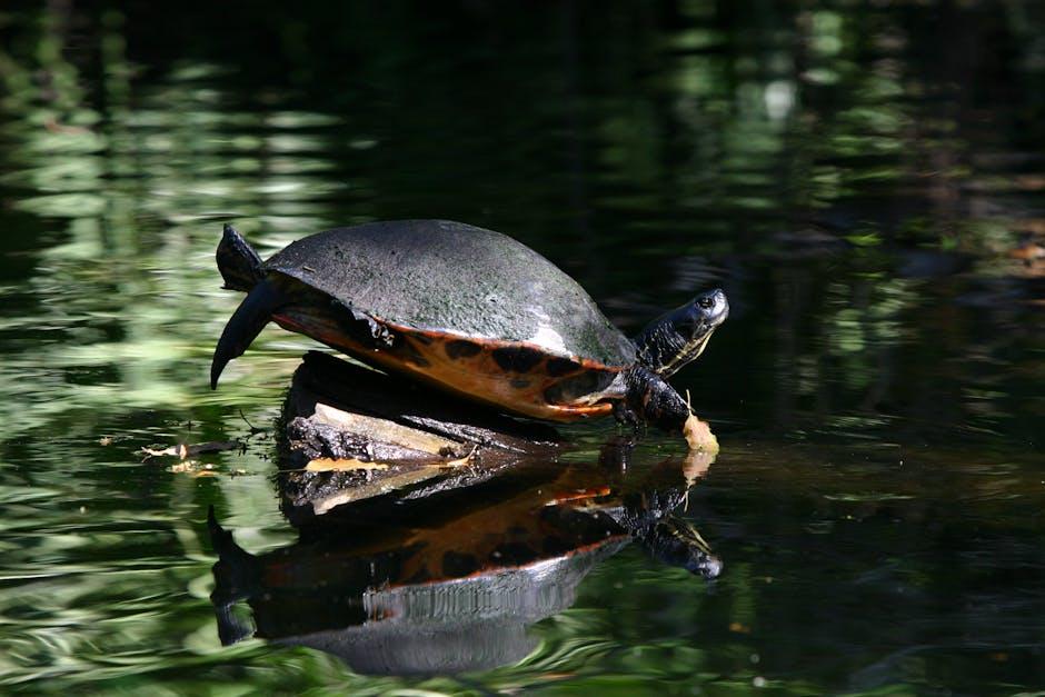 Discover the Rich Biodiversity Hidden Within the Fjords