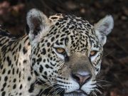 How to Plan a Multi-Country Tour in South America How to Plan a Multi-Country Tour in South America