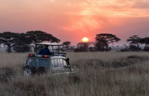 How Fair Is Profit Distribution in Africa’s Safari Industry How Fair Is Profit Distribution in Africa’s Safari Industry