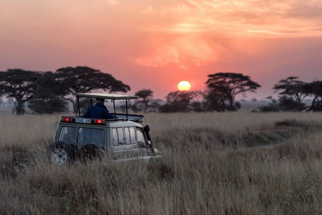 How Fair Is Profit Distribution in Africa’s Safari Industry