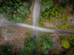 Is Western Europe Losing Its Authenticity Due to Globalization Is Western Europe Losing Its Authenticity Due to Globalization