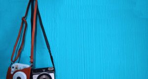 Should Travelers Avoid Zoos and Animal Sanctuaries in Africa Should Travelers Avoid Zoos and Animal Sanctuaries in Africa