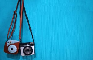 Should Travelers Avoid Zoos and Animal Sanctuaries in Africa Should Travelers Avoid Zoos and Animal Sanctuaries in Africa