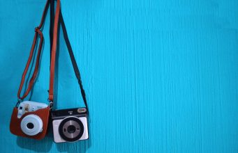 Should Travelers Avoid Zoos and Animal Sanctuaries in Africa Should Travelers Avoid Zoos and Animal Sanctuaries in Africa