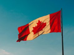 A guide to whale watching tours in Canada A guide to whale watching tours in Canada