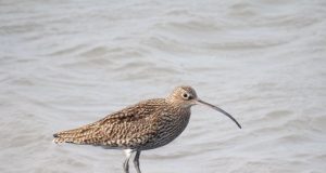 Best Beaches in Europe for a Relaxing Getaway Best Beaches in Europe for a Relaxing Getaway