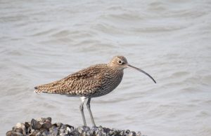 Best Beaches in Europe for a Relaxing Getaway Best Beaches in Europe for a Relaxing Getaway