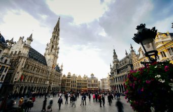 Should Tourists Support Captive Animal Sanctuaries Should Tourists Support Captive Animal Sanctuaries