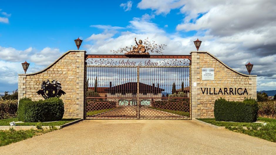 Discover the Rich⁤ Tapestry of Argentinas Wine Regions