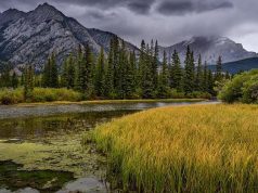 Top hiking trails in Banff National Park Top hiking trails in Banff National Park