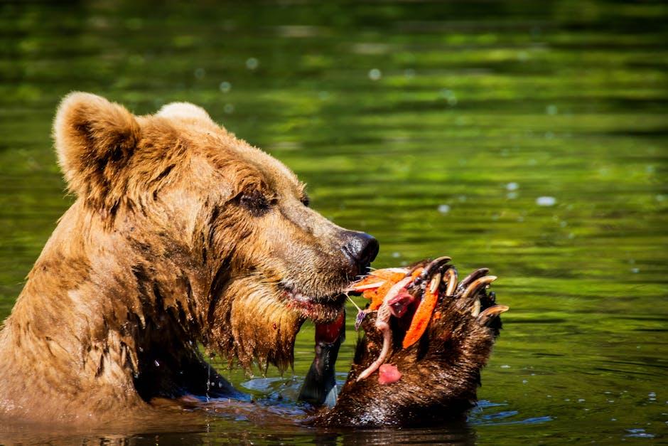 Affordable‍ Wildlife Encounters and Nature ​Experiences