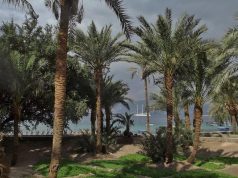 Best birdwatching destinations in Africa Best birdwatching destinations in Africa