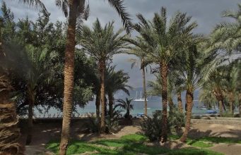 Best birdwatching destinations in Africa Best birdwatching destinations in Africa