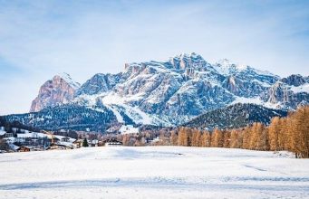 Can Tourism Save Endangered Species in Africa Can Tourism Save Endangered Species in Africa