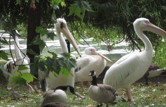 Packing essentials for a summer trip to Europe Packing essentials for a summer trip to Europe