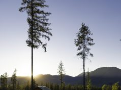 Best national parks to visit in North America Best national parks to visit in North America