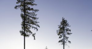 Best national parks to visit in North America Best national parks to visit in North America