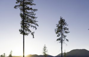 Best national parks to visit in North America Best national parks to visit in North America