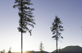 Best national parks to visit in North America Best national parks to visit in North America