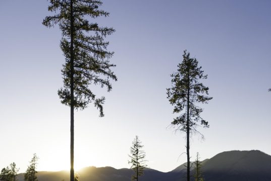 Best national parks to visit in North America Best national parks to visit in North America