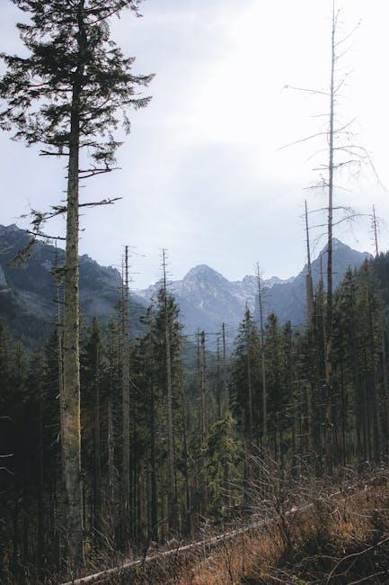 Natures Untouched Paradises